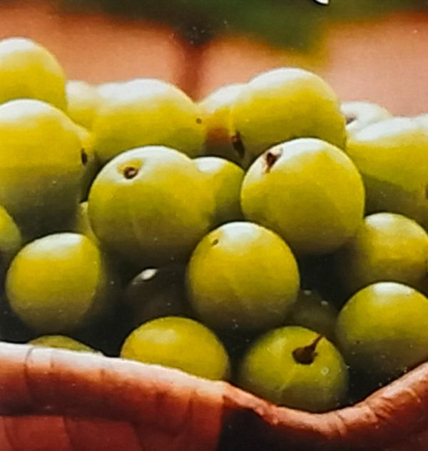 Amla powder
